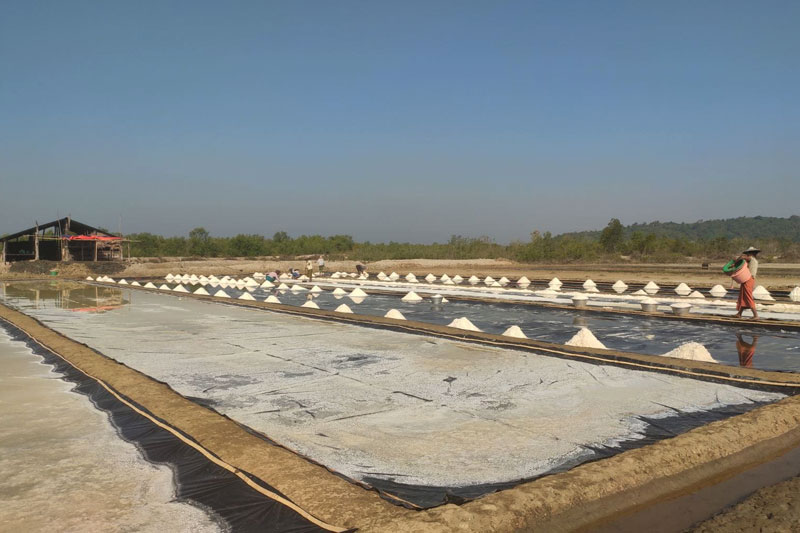 A salt farm in Kyaukphyu Township, Arakan State. (Photo: Tun Kyawl)  