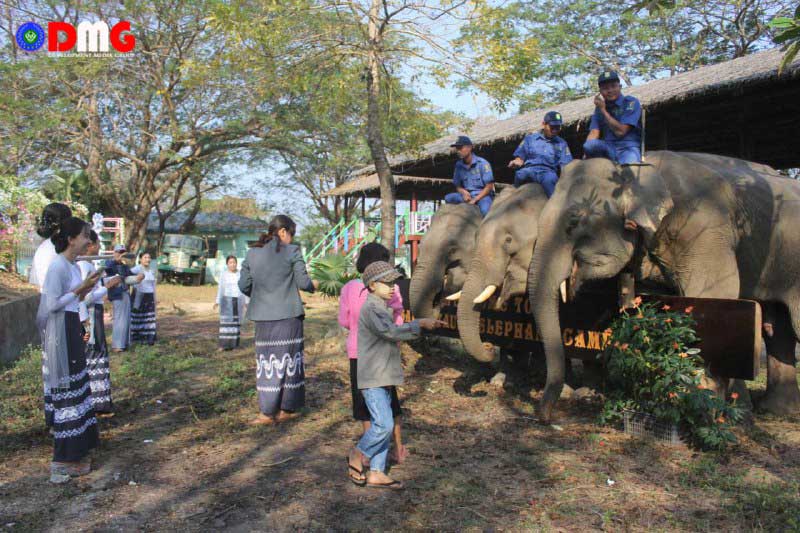 Thandwe elephant camp opens to the public - Development Media Group